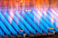 Tresmeer gas fired boilers